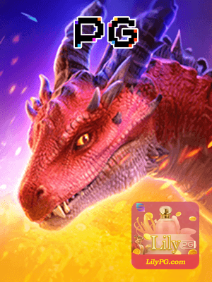 Recursos App LILYPG